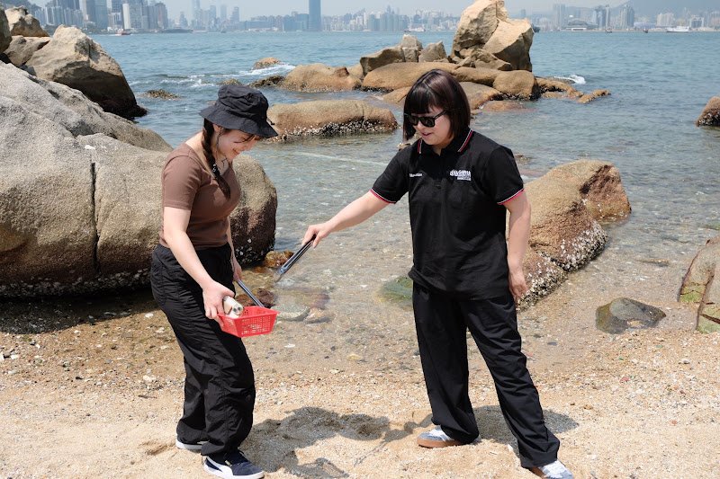 海岸での清掃活動